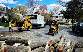 Best Hazardous Tree Removal  in Graham, WA